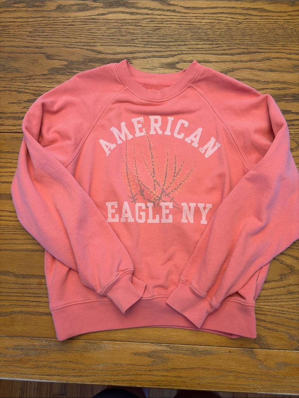American Eagle Outfitters Coral Pink Graphic Crewneck Sweatshirt